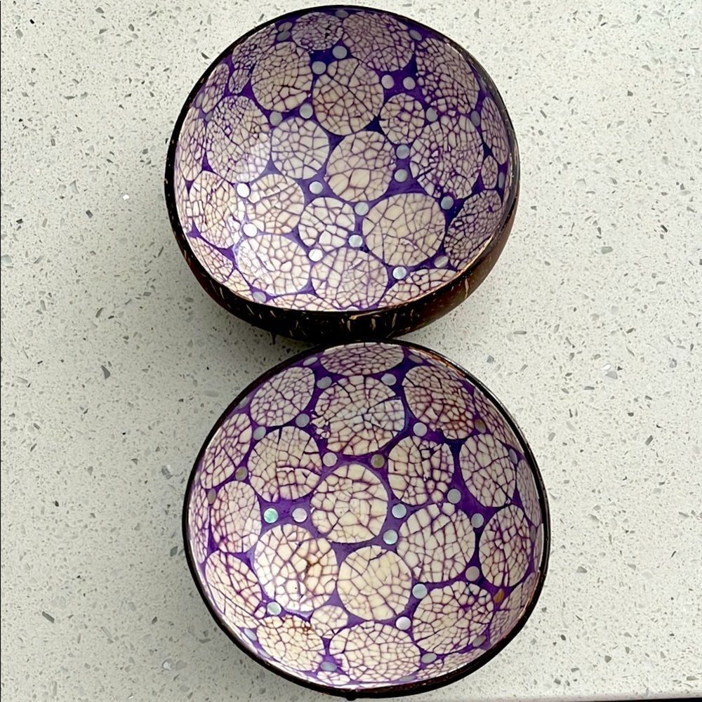 Coconut Bowls Hand inlaid with Shells with Purple Decorative Bowls Set of 2